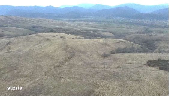 Cota 1/4 teren extravilan Dalboset, jud. Caras Severin - termen 14.08