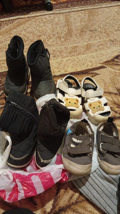 Отдам бесплатно вещий