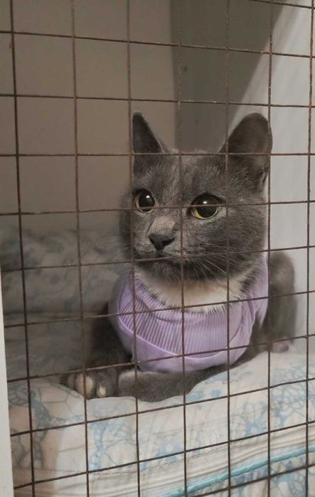 Нежная малышка ищет дом