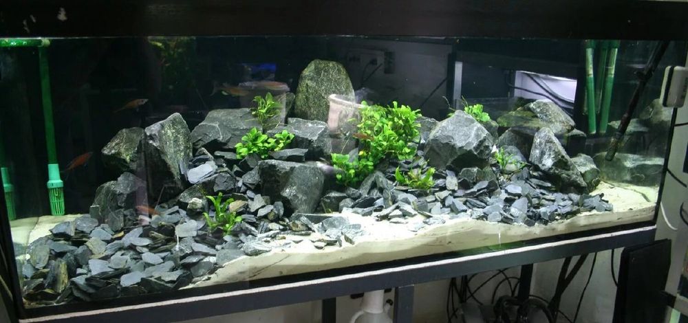 Akvarium uchun dekorativ toshlar. Peschanik va bud kamen