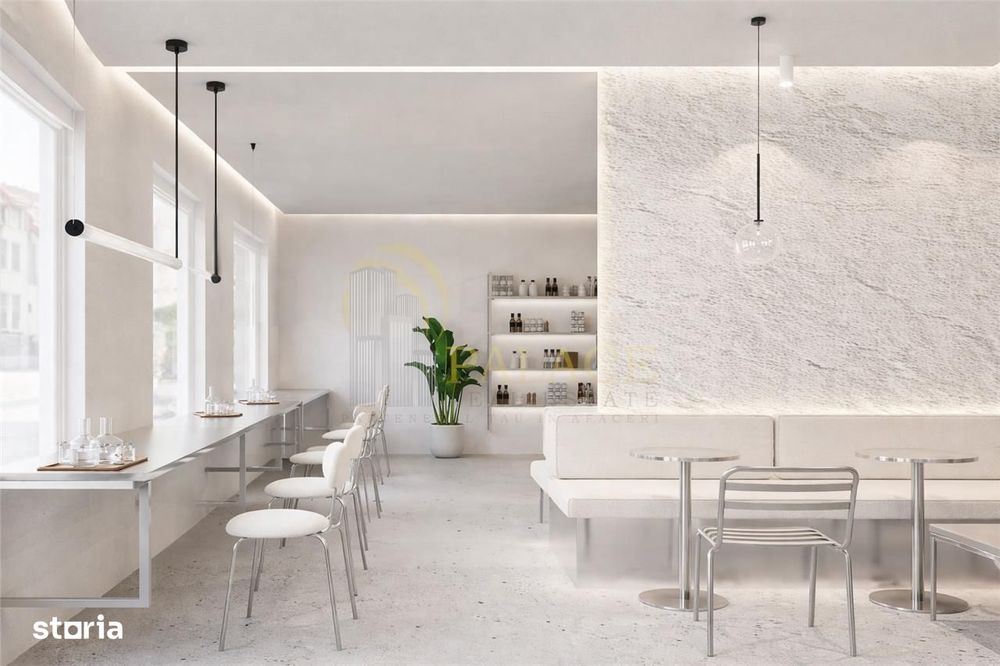 Spatiu Comercial Pacurari Rediu