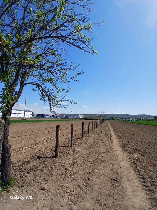 Vând teren intravilan Mărăcineni Argeselu 2300.m2