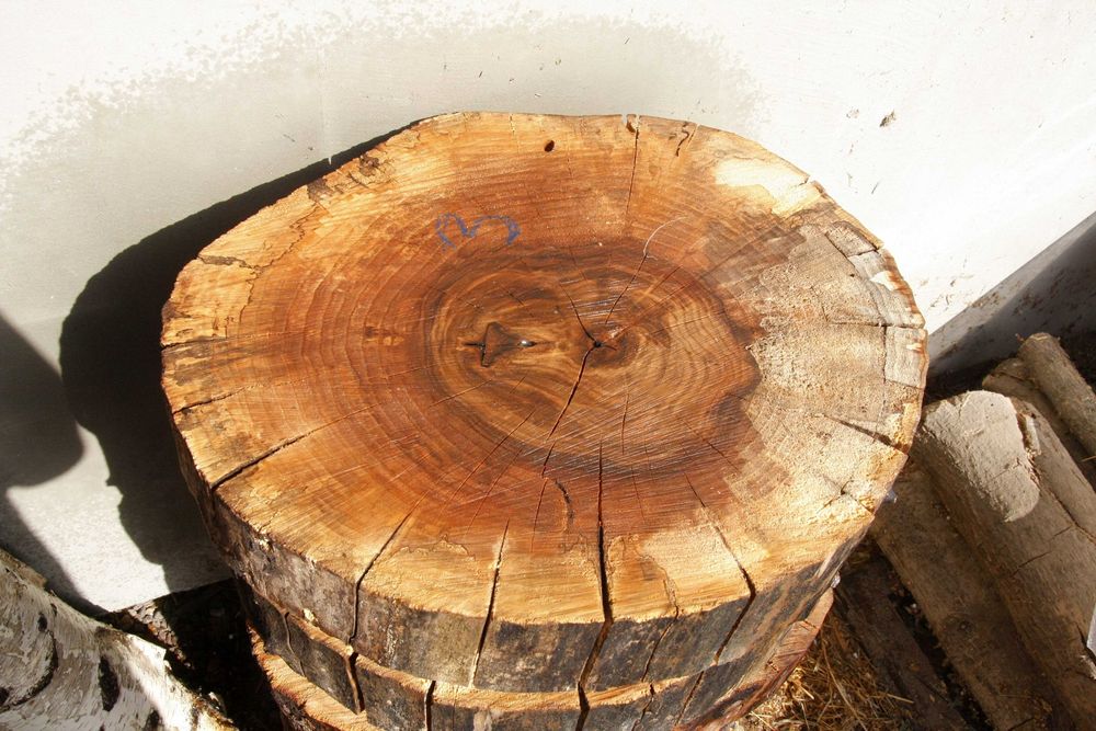 ОРЕХ шайби 50 см сухи плот масичка рустик шайба СОФИЯ