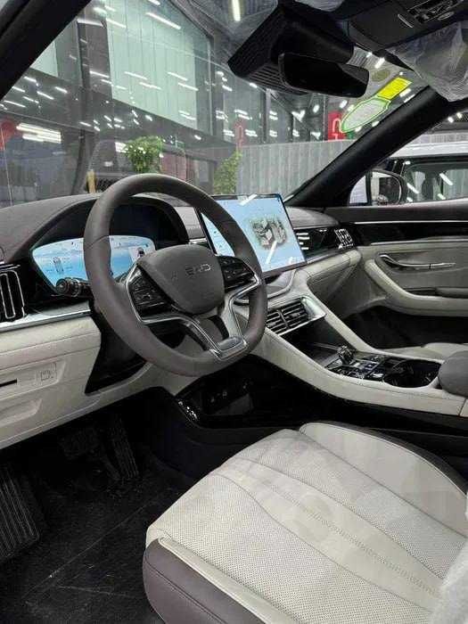 byd champion smart