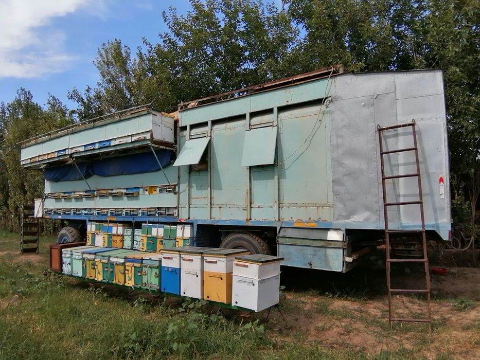 Прицеп ЗИЛ, с пчёлами