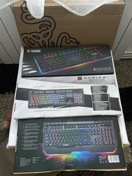 Tastaturi Gaming iluminate și Standard