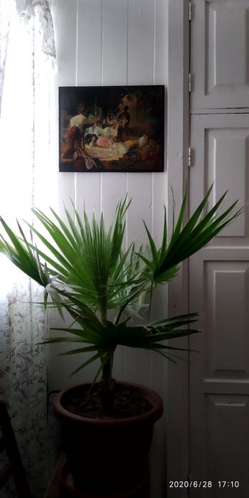 Картина Бахчисарайский Фонтан