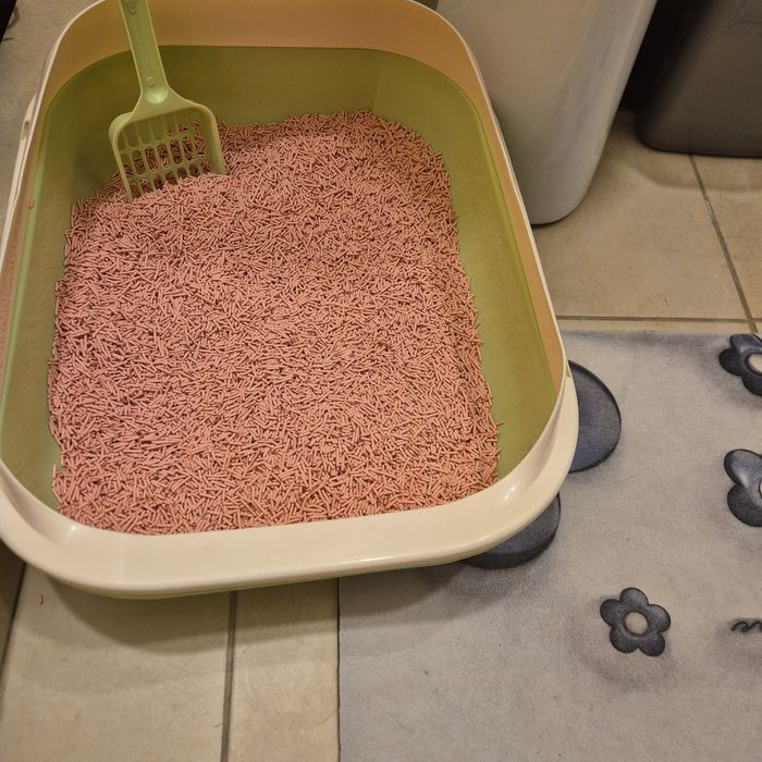 Loc joaca, disperser apa automat, cos de dormit pentru pisici