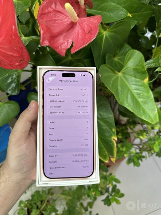 IPhone 17 pro max  256GB