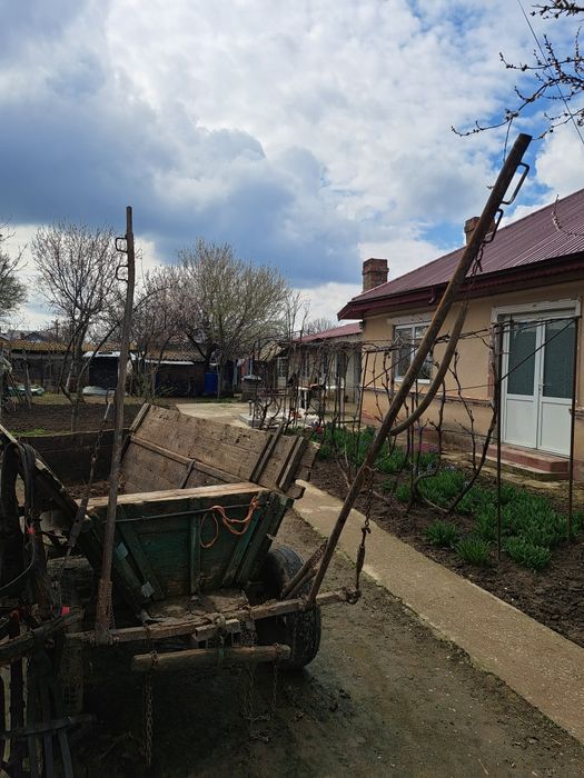 Vând cal iapă  11 ani  și căruță cu ham iapă ascultătoare și cuminte.