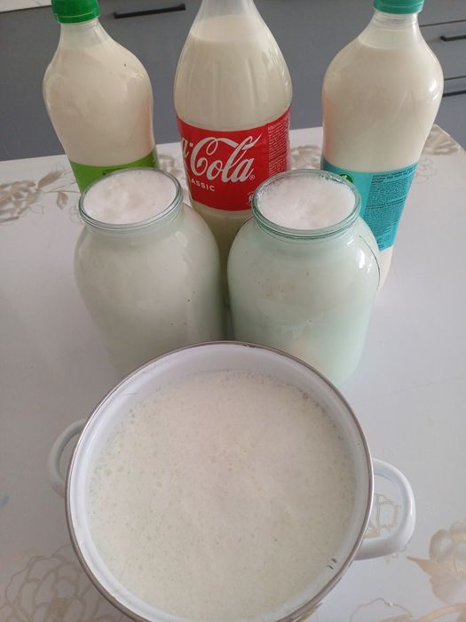 Ешкі сүті козье молоко