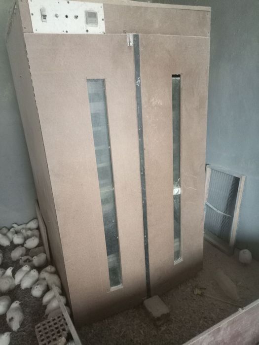 Bedana qafasla va inkubator sotikadi