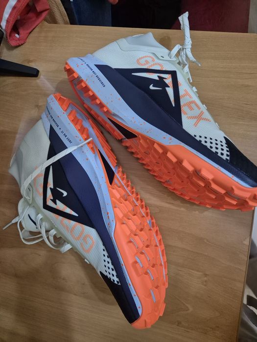 Nike Pegasus Gore tex