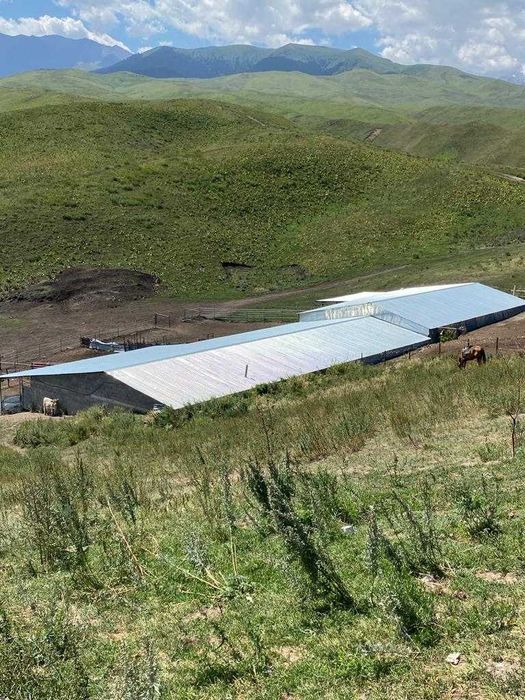 Продам 100 гектар(частная собственность)