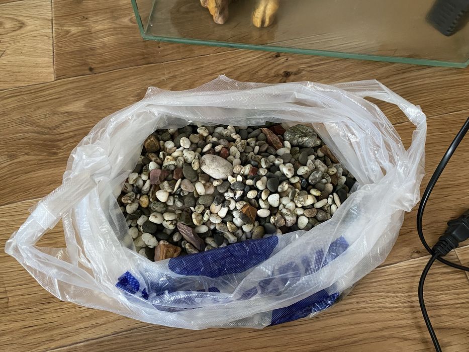 Аквариум со всеми принадлежностями