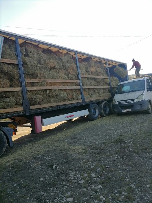 Baloti fan sau lucerna Rotunzi 40.Drept.500;Pomi Aluni Nuc.Castan.Afin