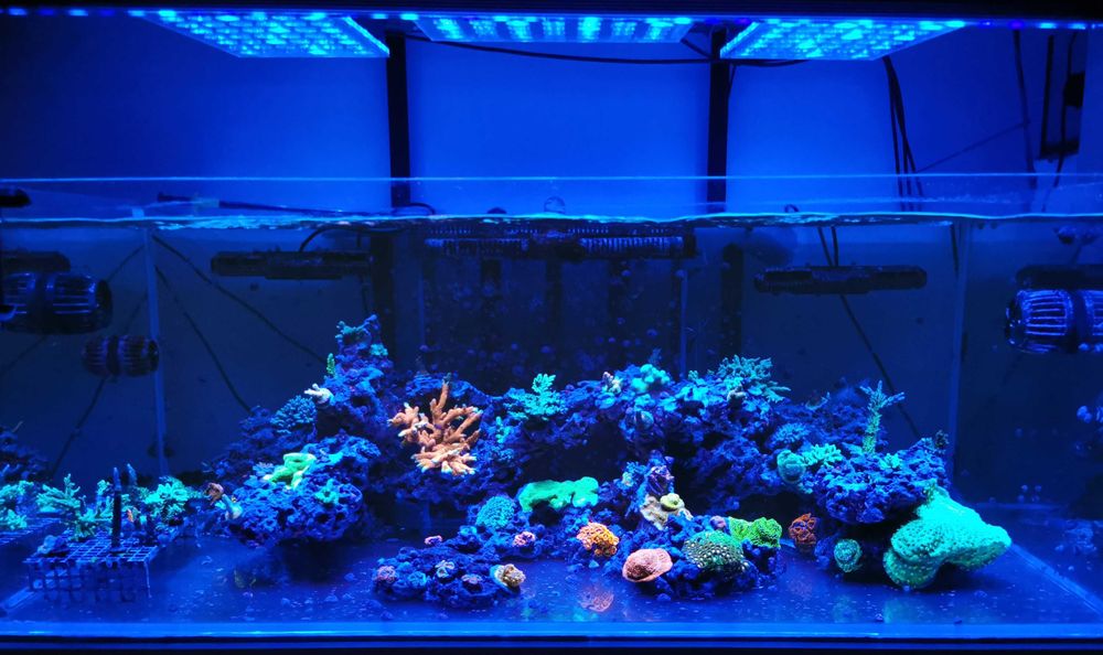 Acvariu marin rimless din sticlă ultraclear + sump + stand metalic