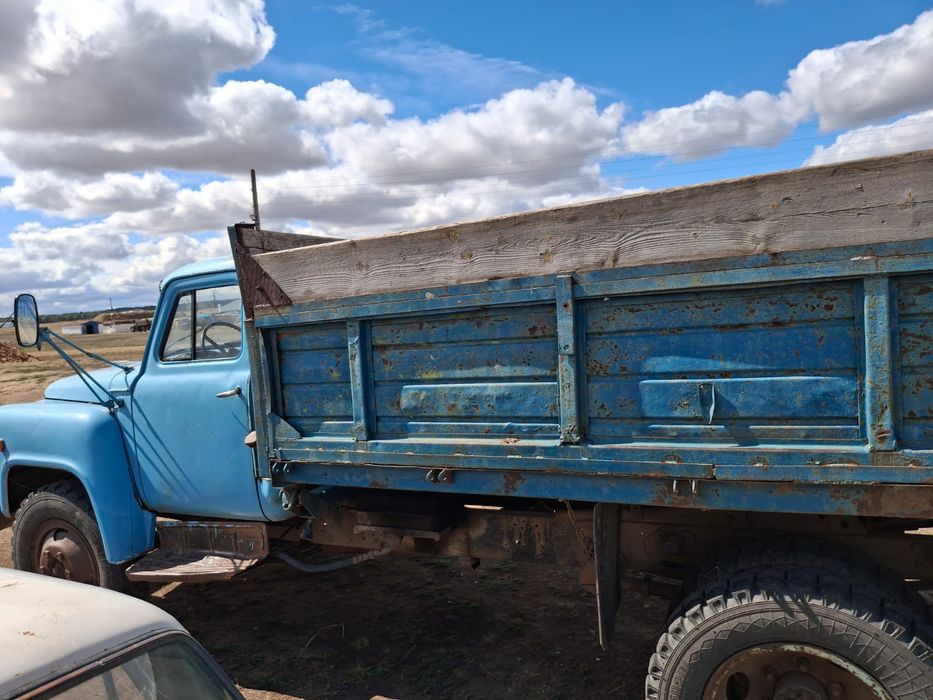 Сатам газон   52