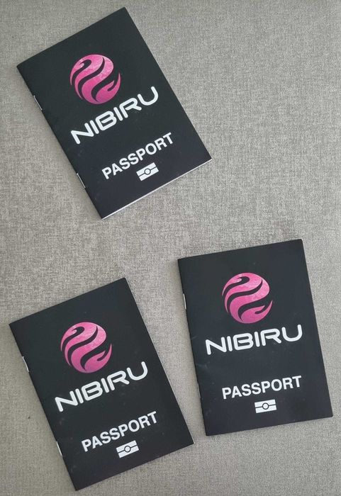 Vand abonamente NIBIRU (all summer access)