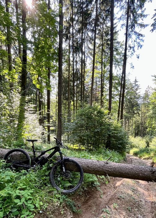 Specialized turbo levo SL carbon.