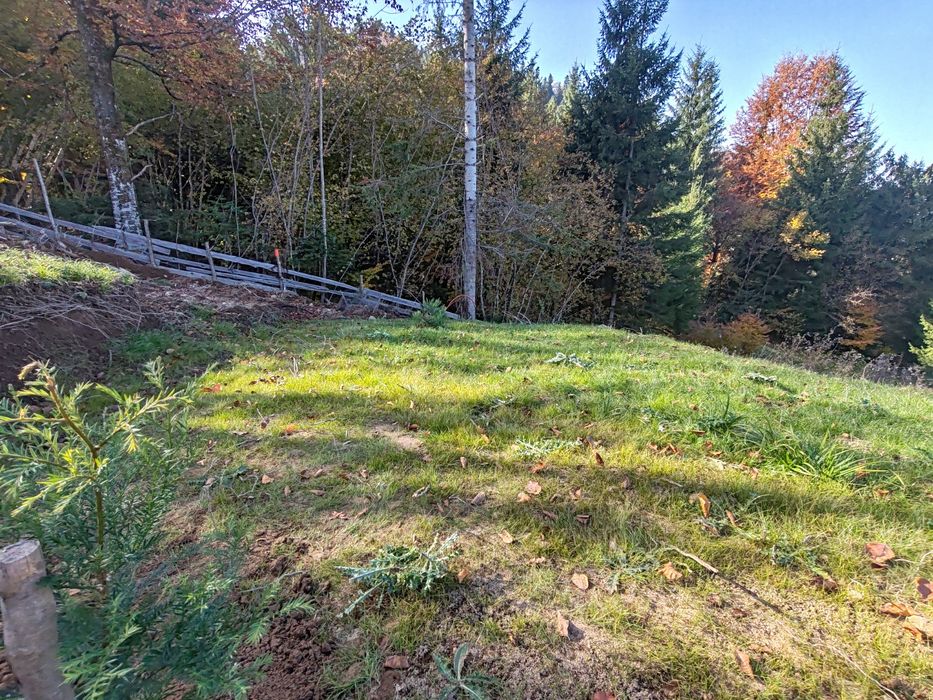 Teren intravilan Colibița 7 arii panoramă lac