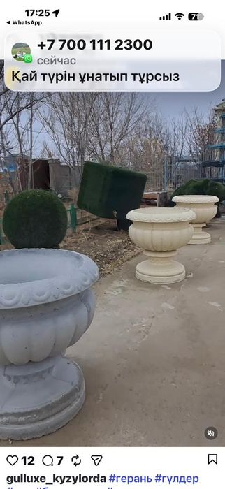 Вазон, цветочница, гүл салатын