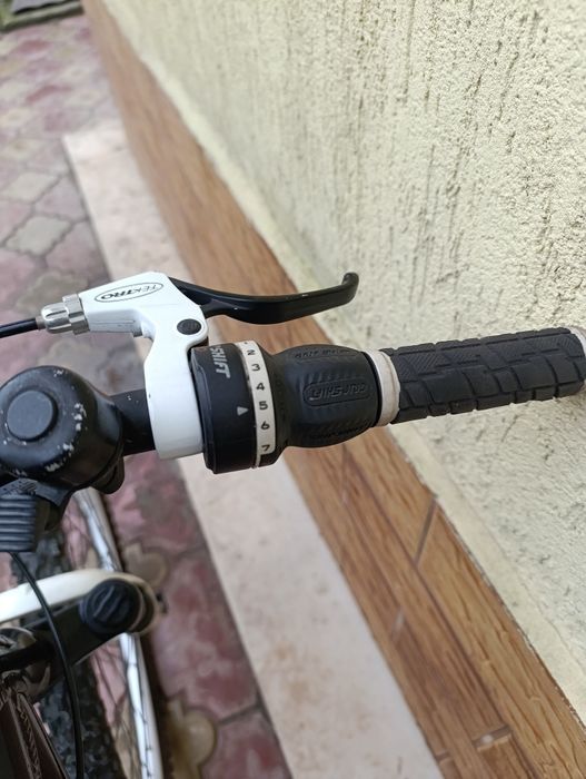 Carrera 24 цола   .