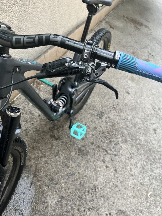 Forbidden Druid 2023