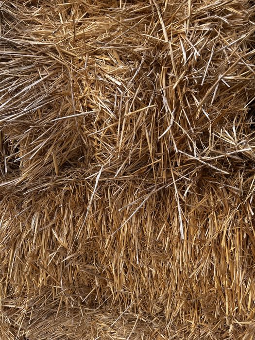 Тюки Саломы для скота