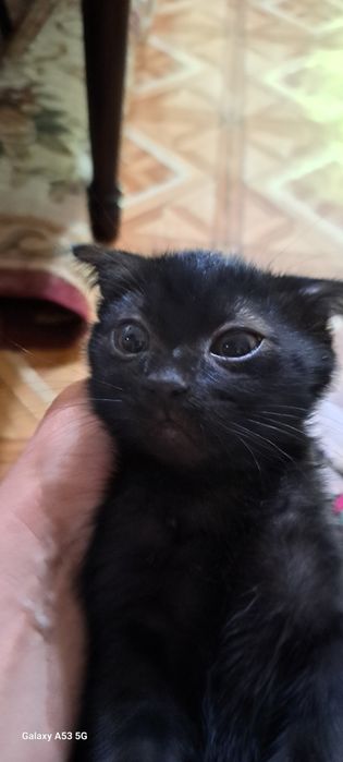 Мальчик 2 месяца
