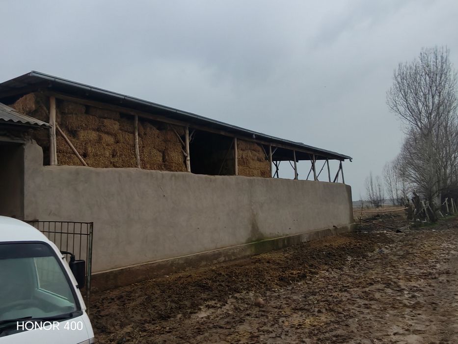 Bo'stonliq tumanidan mol chorvachiligi uchun mol xona yer sotiladi