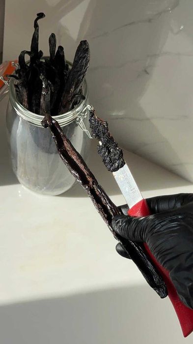 Pastai de Vanilie Mexic (20-24cm) Import direct din Madagascar !