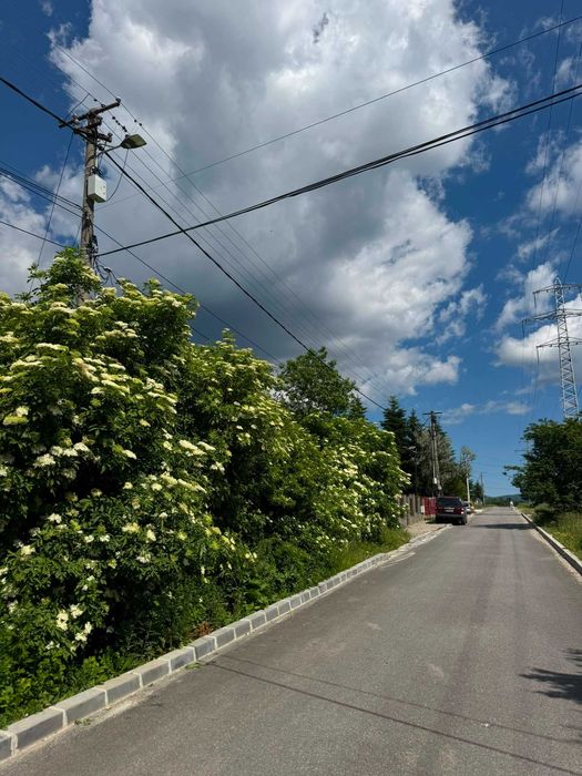 Teren 1.000 mp investiție Poiana Țapului - Busteni - Str. Traian Vuia