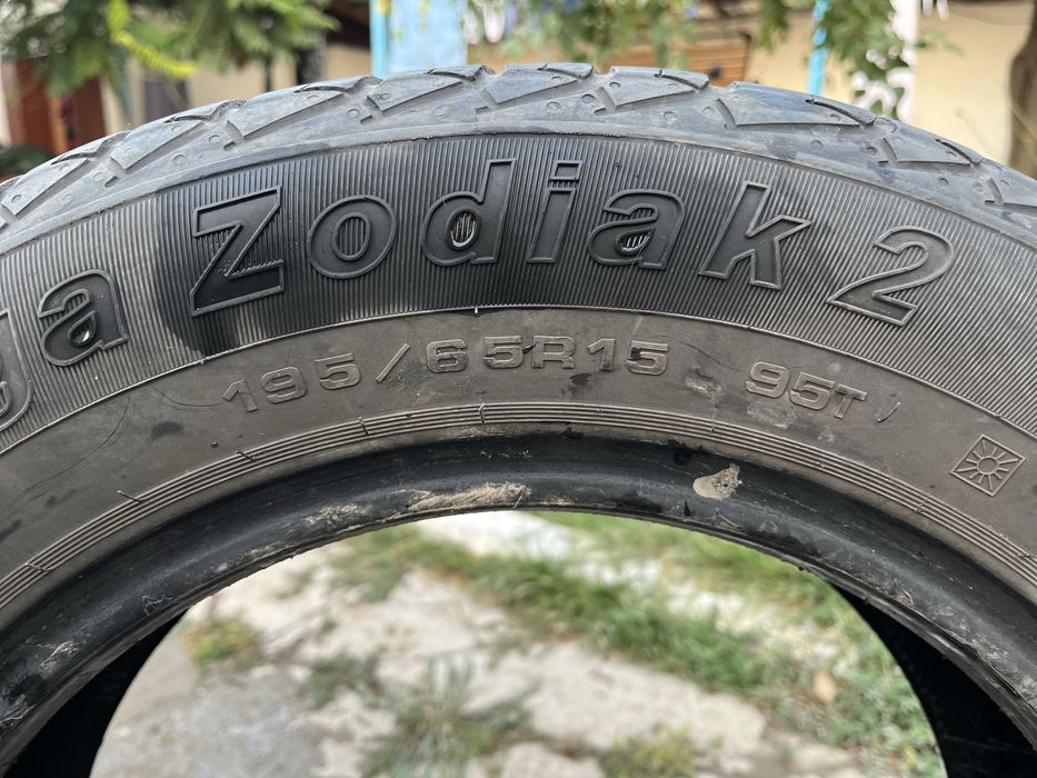 Пкорышка летняя 1 шт