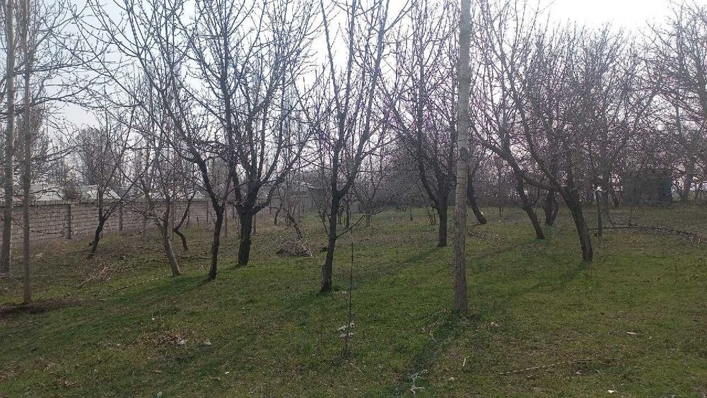 10 сотих ер, г. Ангрен