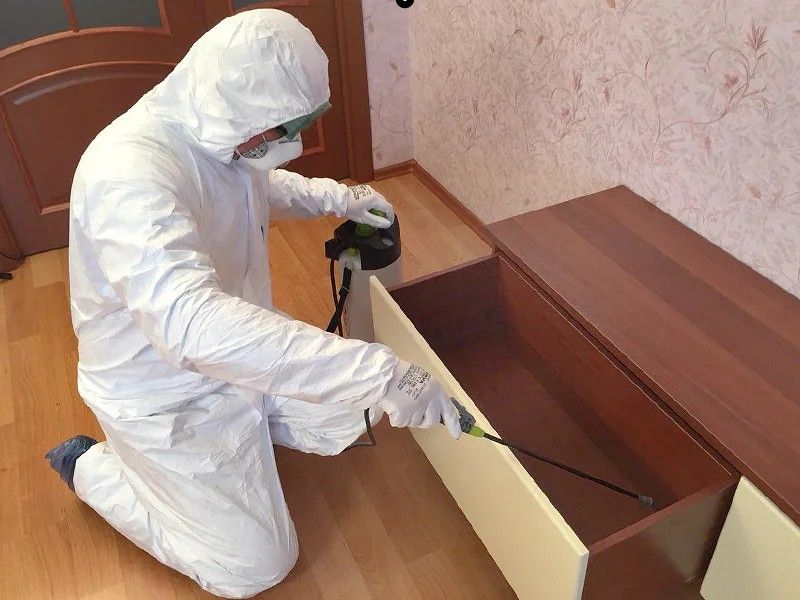 Дезинфекция клопов дезинсекция Dezinfeksiya Dizenfeksiya