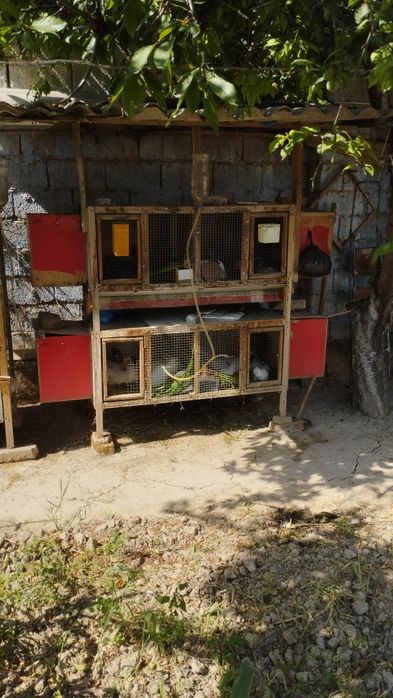 Клетки для кроликов Quyonlar uxhun qafas