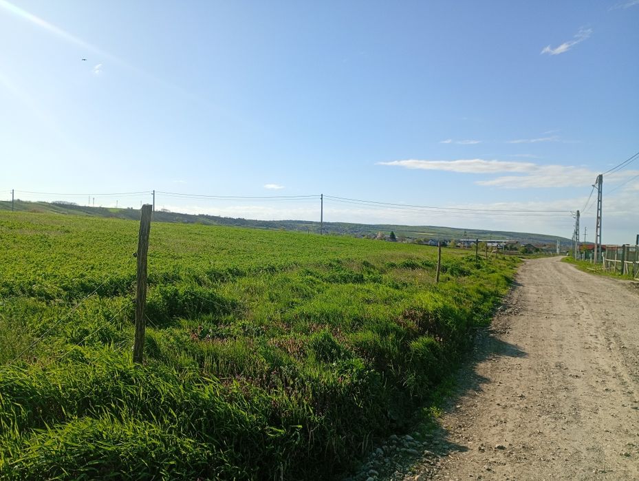 Teren de vânzare