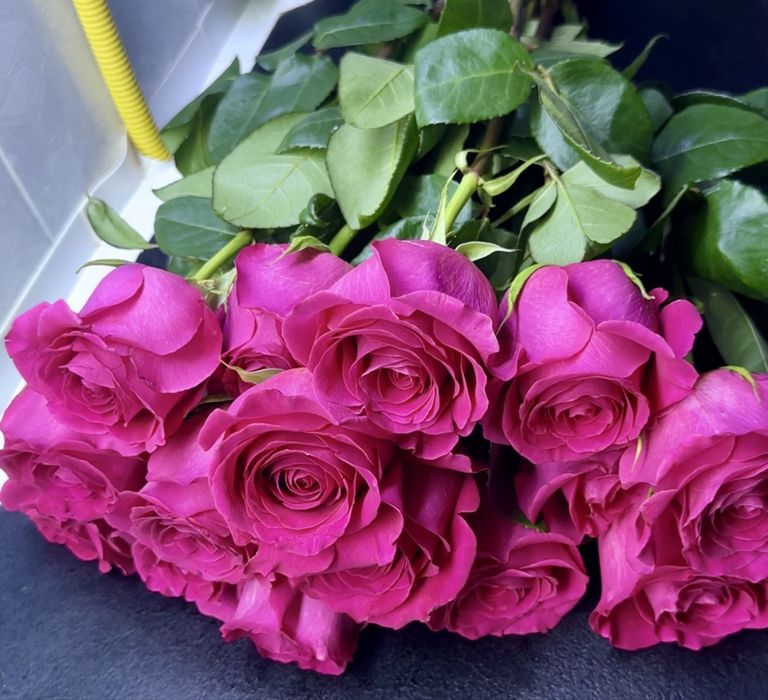 Продам цветы  Розы  красивый бутон.