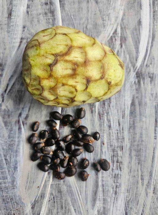 Черимоя семена , екзотично плодно дърво