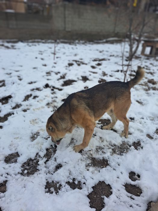 Кабель продам в хорошие руки