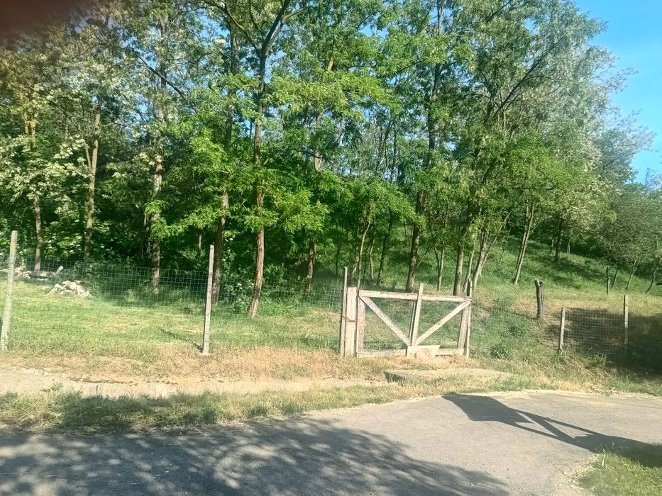 Teren intravilan CF pentru casă de vacanță Zăuan Sălaj
