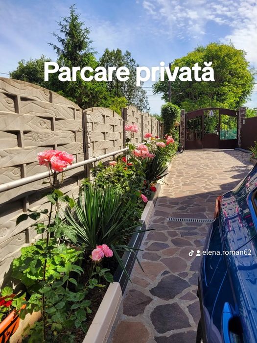 Camere de închiriat