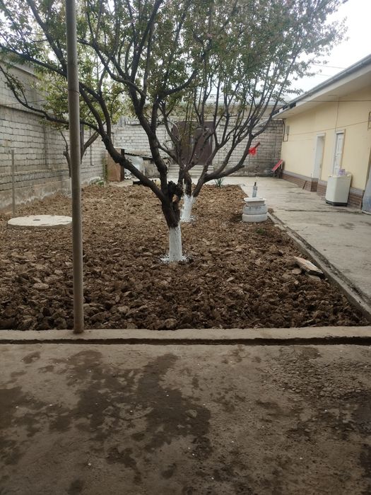 Uy sotiladi Zangiota Qahramon