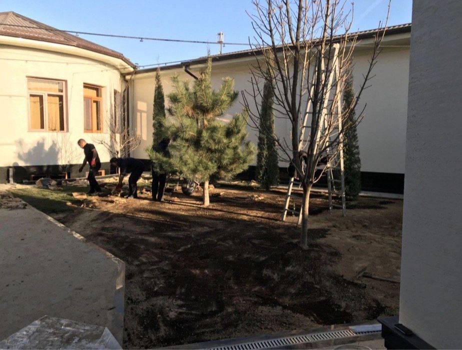 Газон разних видоф