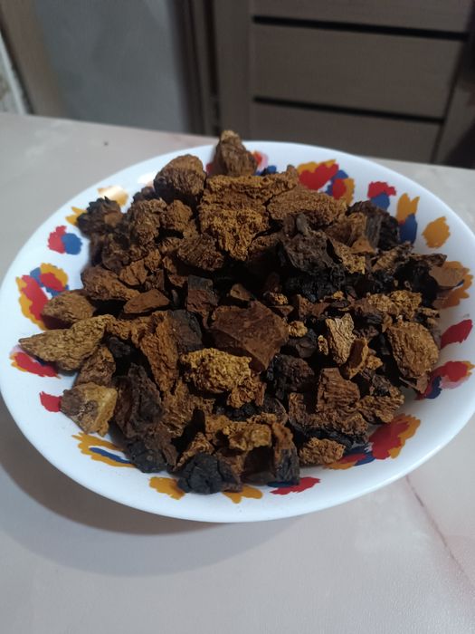 Берёзовый гриб Чага