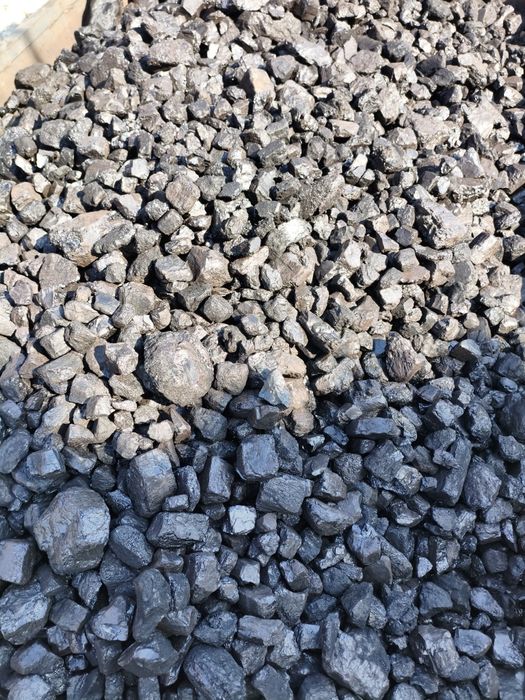 Шубаркуль сортовой, орешек мешками.