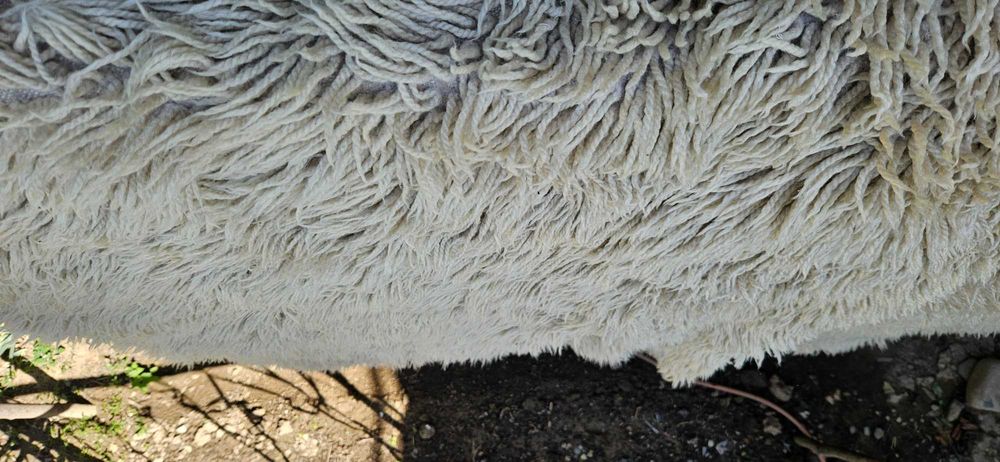 Домашно тъкани китеници