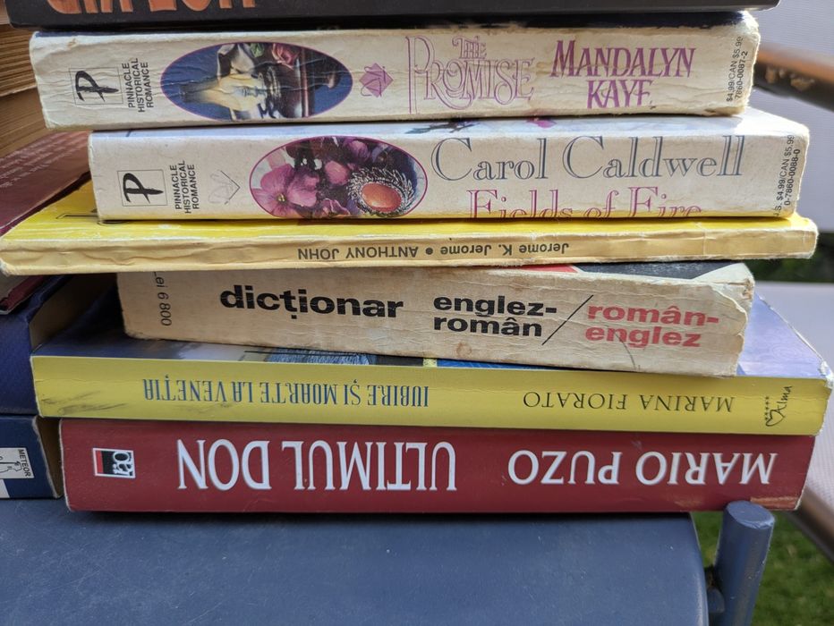 cărți diverse – literatură, istorie, economie 
Lot cărți d
