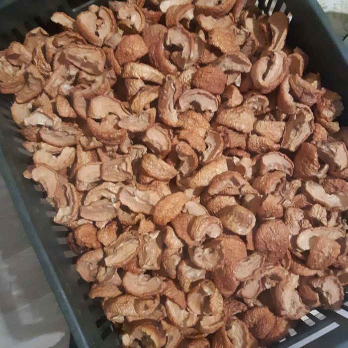 Сушёные  яблоки,  Алма қақ.